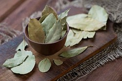 feuille de lauriers